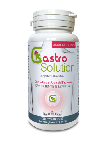 GASTRO SOLUTION