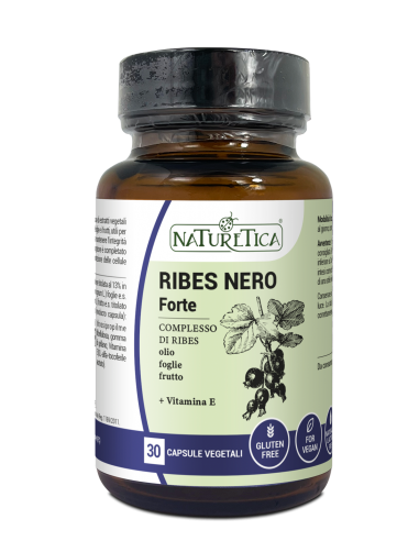 RIBES NERO