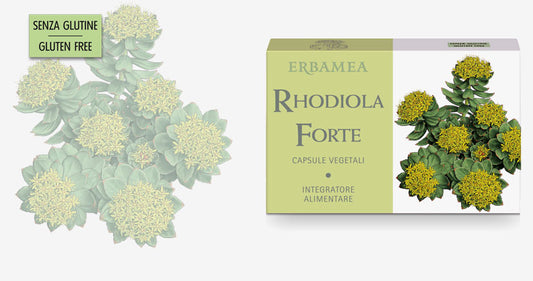 Rhodiola Forte -24 capsule